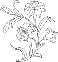 FLM107D.JPG