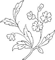 FLM106E.JPG