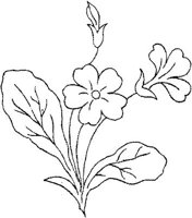 FLM106D.JPG