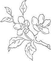 FLM106B.JPG