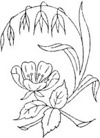 FLM105D.JPG