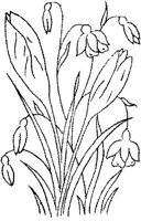 FLM103B.JPG