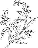 FLM103A.JPG