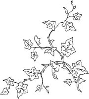 FLM054C.JPG