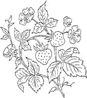 FLM054B.JPG