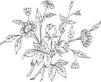 FLM052F.JPG