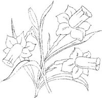 FLM051A.JPG