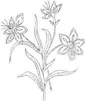 FLM047C.JPG