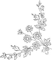 FLM045D.JPG