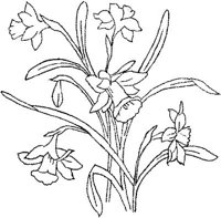 FLM045A.JPG