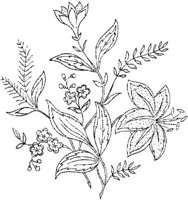 FLM044C.JPG