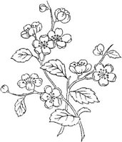 FLM044B.JPG
