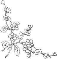 FLM044A.JPG