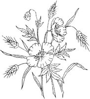 FLM042B.JPG