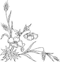 FLM042A.JPG