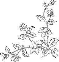 FLM041B.JPG