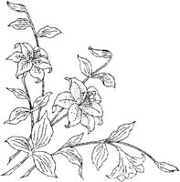 FLM040A.JPG