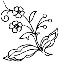 FLM037A.JPG