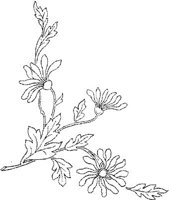 FLM036D.JPG