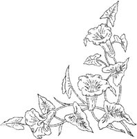 FLM035D.JPG