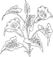 FLM035C.JPG