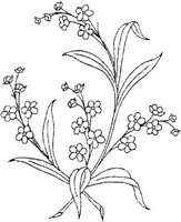 FLM035A.JPG