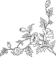 FLM034E.JPG