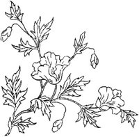 FLM034D.JPG