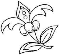 FLM033F.JPG