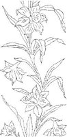 FLM022C.JPG