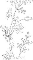 FLM022B.JPG