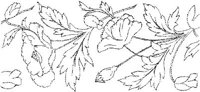 FLM022A.JPG