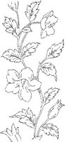 FLM021B.JPG