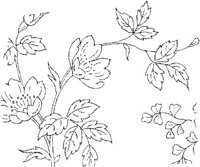 FLM019D.JPG