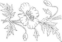 FLM018D.JPG