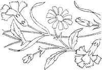 FLM018A.JPG