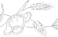 FLM015A.JPG