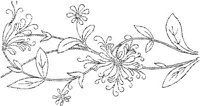 FLM013A.JPG