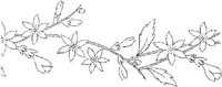 FLM012B.JPG