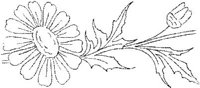 FLM009I.JPG