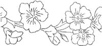 FLM009B.JPG