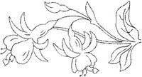 FLM009A.JPG
