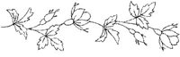 FLM008C.JPG