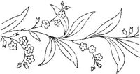 FLM008A.JPG