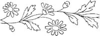 FLM007J.JPG