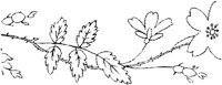FLM007I.JPG