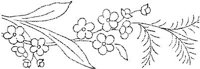 FLM007F.JPG