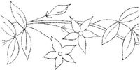FLM007B.JPG