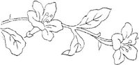 FLM006J.JPG