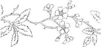 FLM006I.JPG